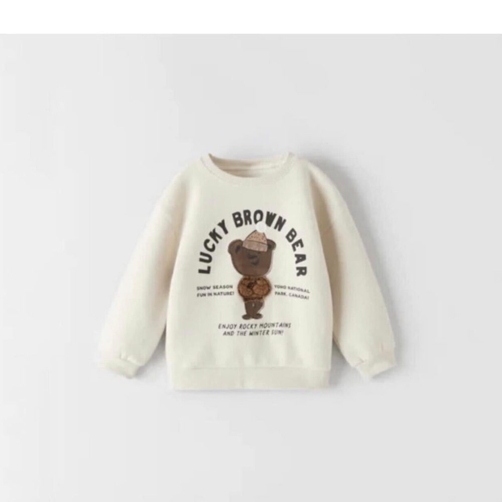 🆘ISO🆘 bear Zara sweatshirt